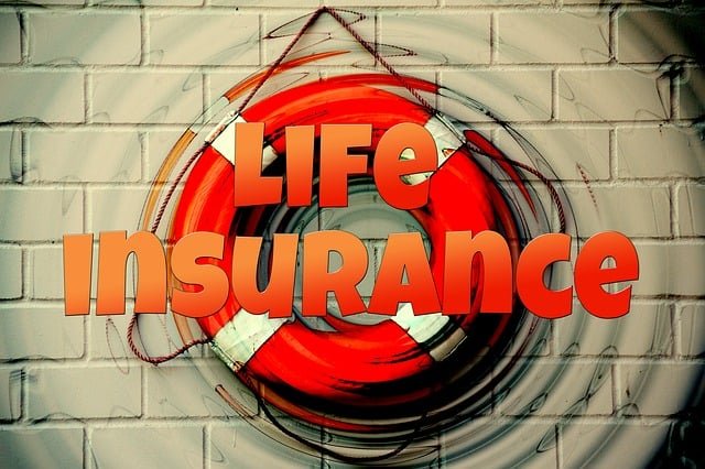 what is whole life insurance:2024